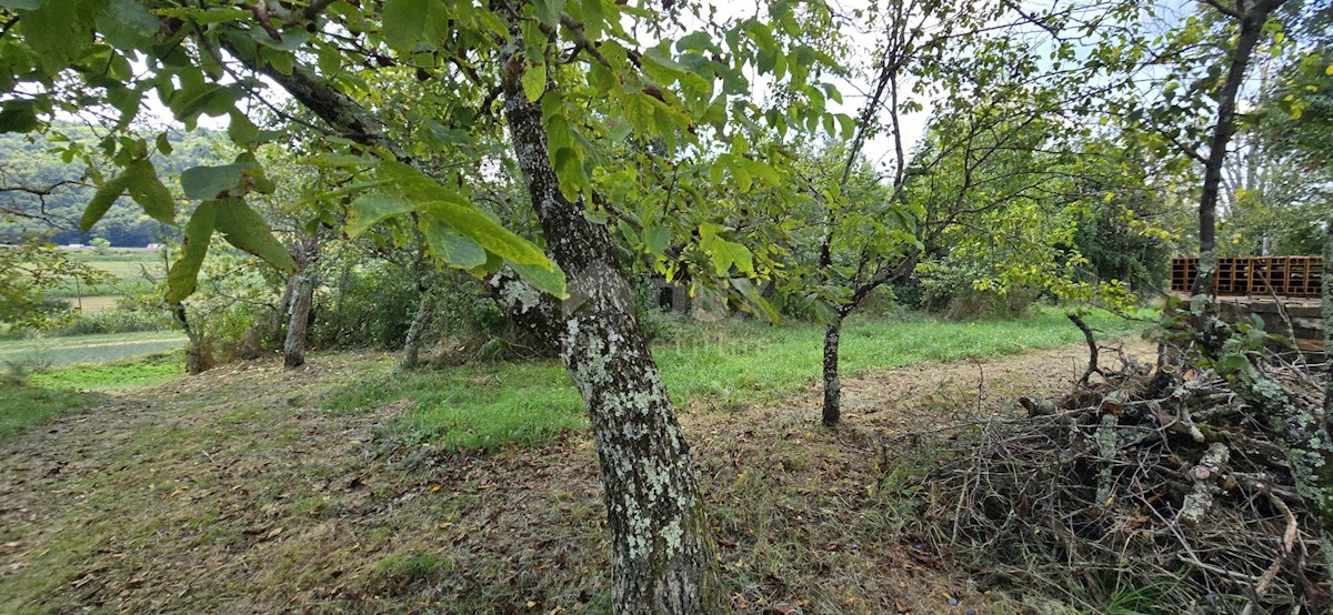 Kuća Na prodaju - ISTARSKA CEROVLJE