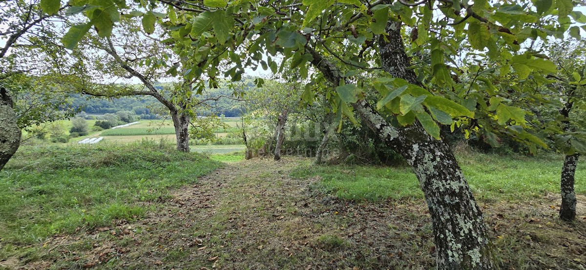 Kuća Na prodaju - ISTARSKA CEROVLJE