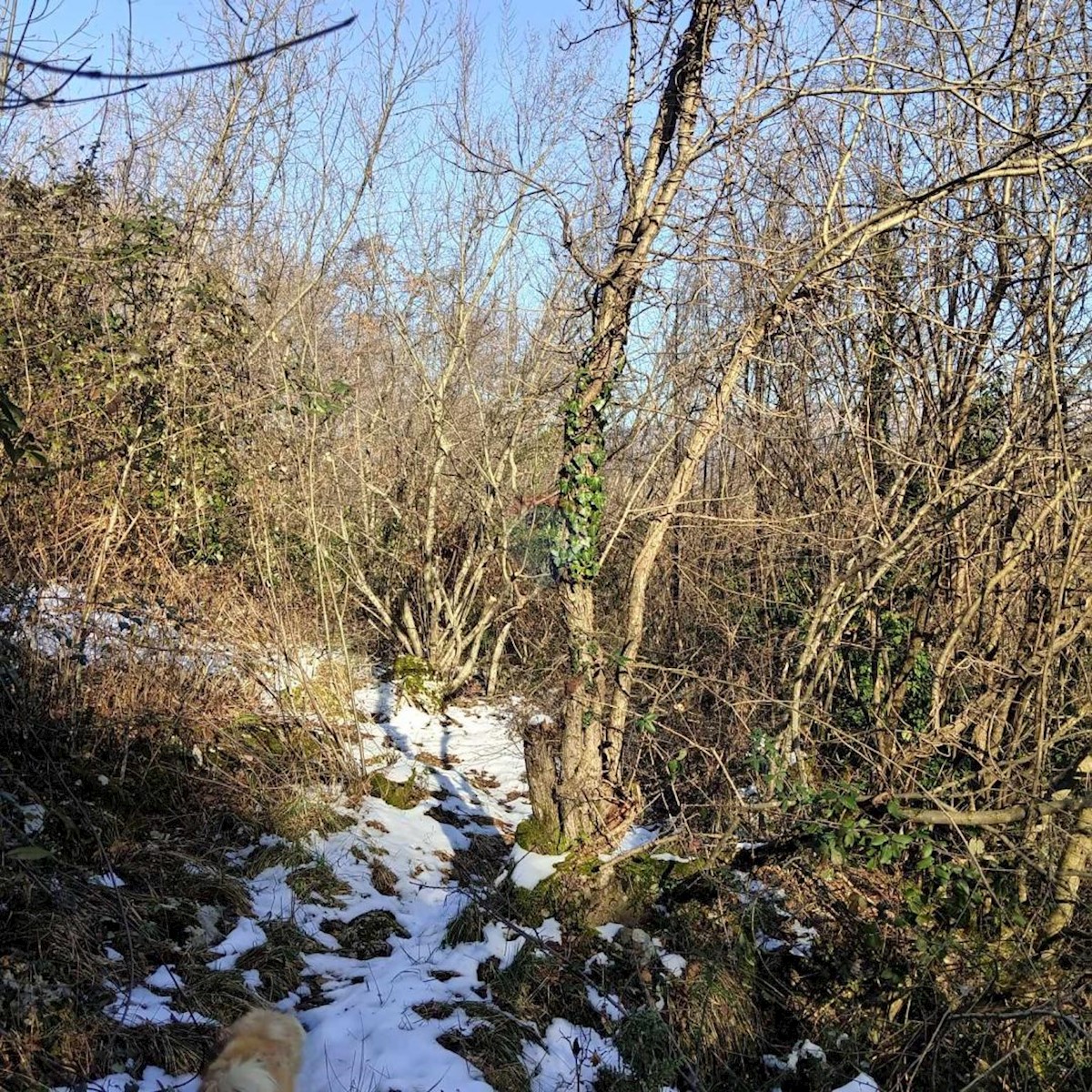 Zemljište Na prodaju - PRIMORSKO-GORANSKA MATULJI