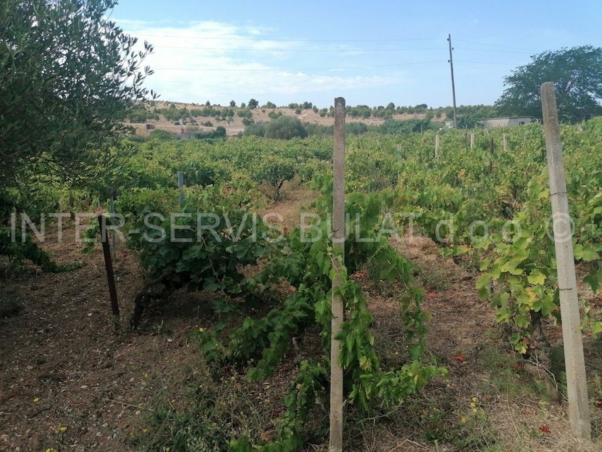 Terrain À vendre - ŠIBENSKO-KNINSKA ŠIBENIK