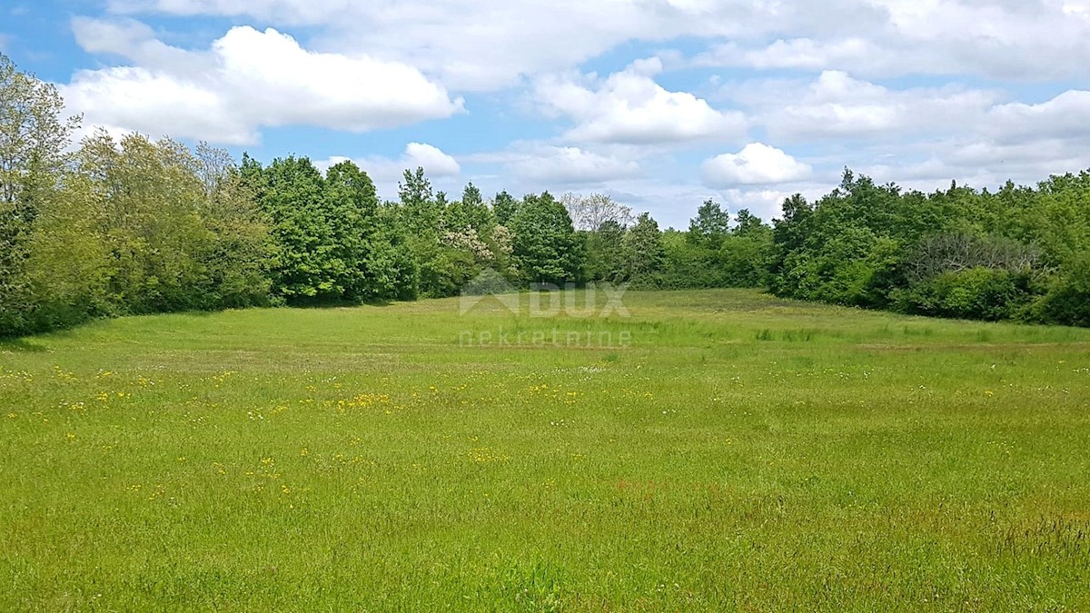 Dům Na prodej - ISTARSKA Barban