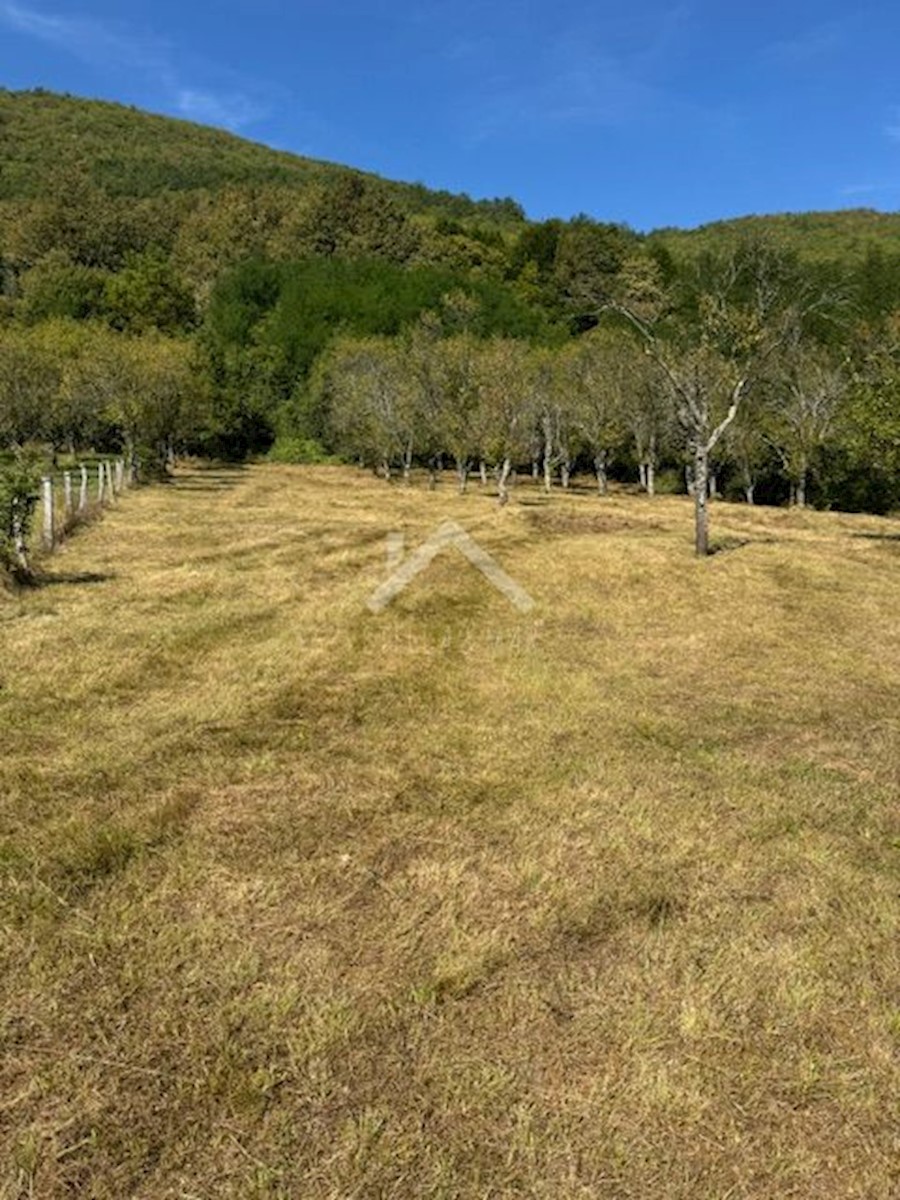 Kuća Na prodaju - ZADARSKA GRAČAC