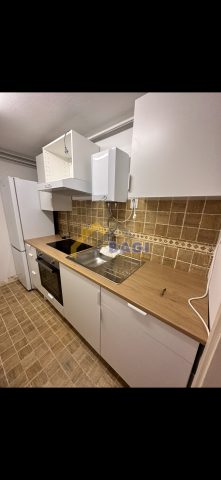 House for rent 300 m² – Volovčica