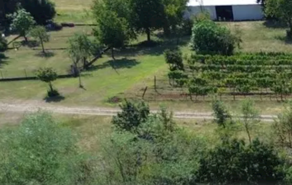 Terreno In vendita - Istarska Labin - foto 2/6