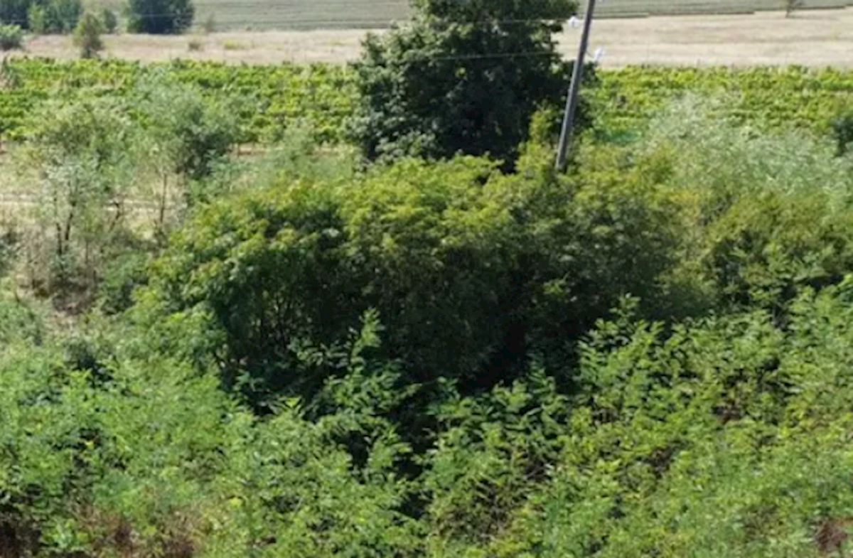 Terreno In vendita - Istarska Labin - foto 4/6