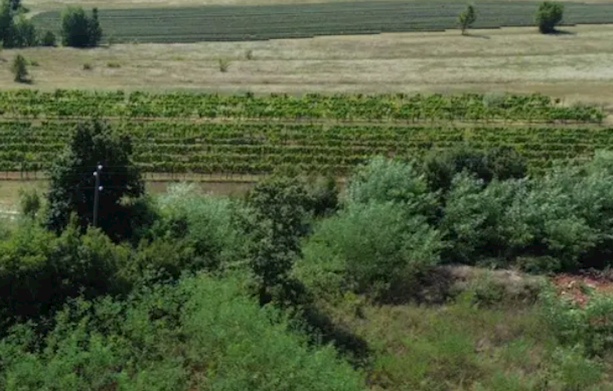 Terreno In vendita - Istarska Labin - foto 5/6