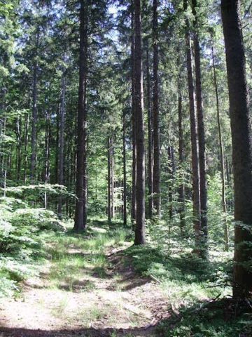 Pozemok na predaj 11684 m² – Ravna Gora