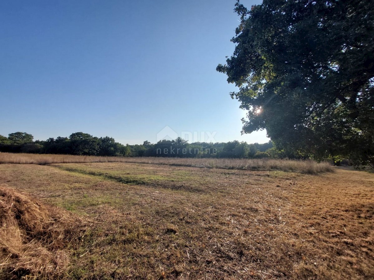 Terrain À vendre - Istarska Marčana - foto 1/2