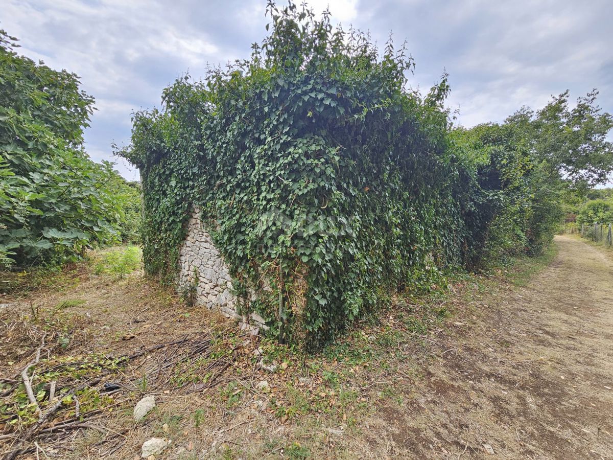 Land For sale - ISTARSKA PULA