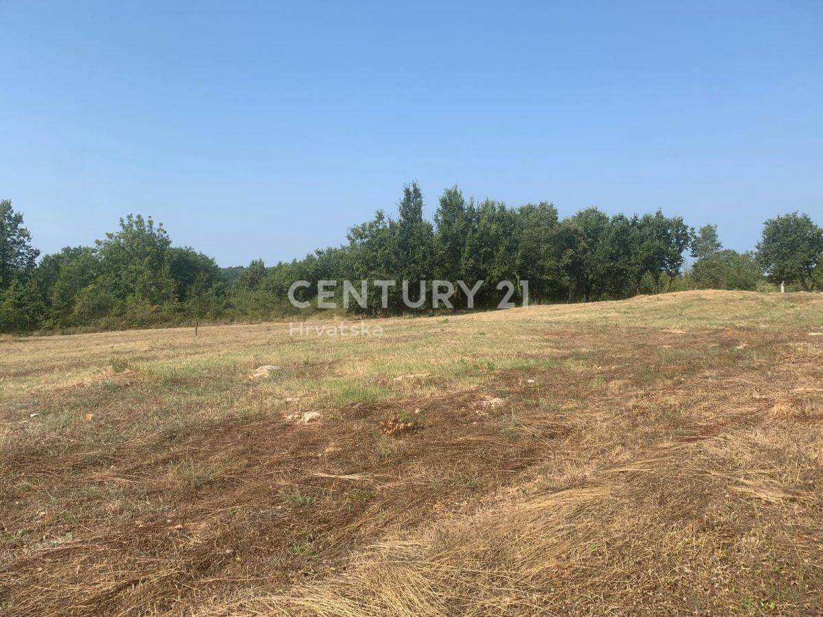 Land For sale - ISTARSKA VIŠNJAN