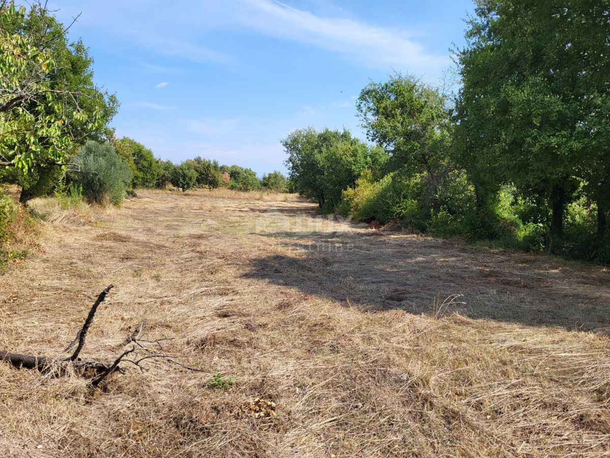 Terreno In vendita - ISTARSKA MARČANA