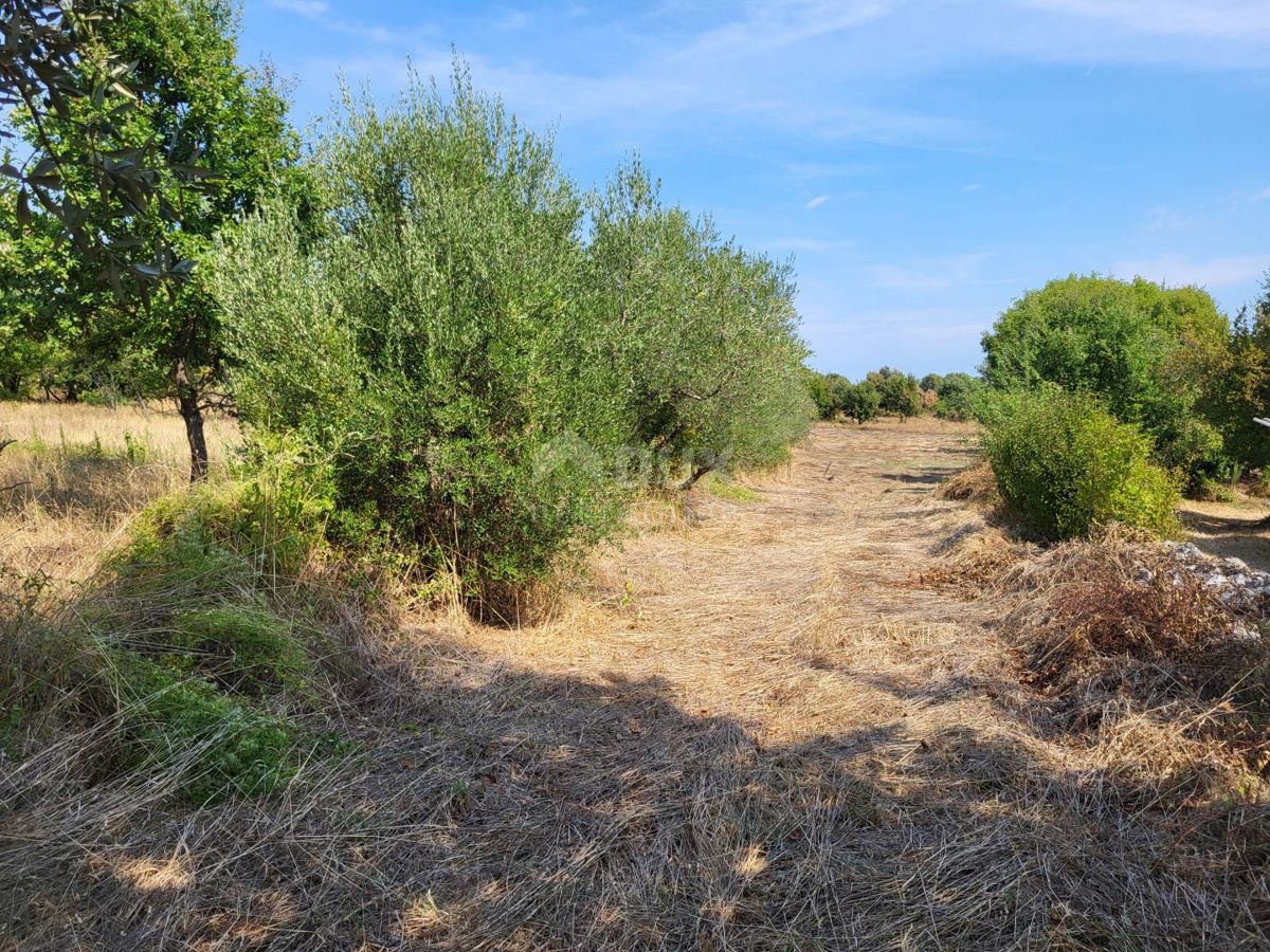 Terreno In vendita - ISTARSKA MARČANA