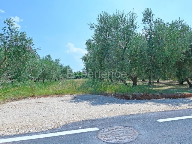 Zemljište na prodaju 1165 m² – Kaštelir