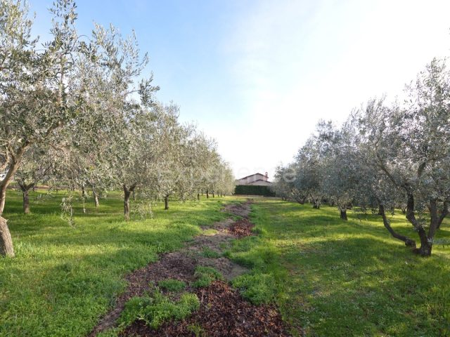 Land For sale - Istarska Kaštelir - foto 2/3