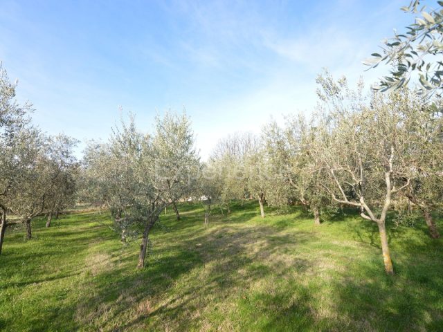 Land For sale - Istarska Kaštelir - foto 3/3