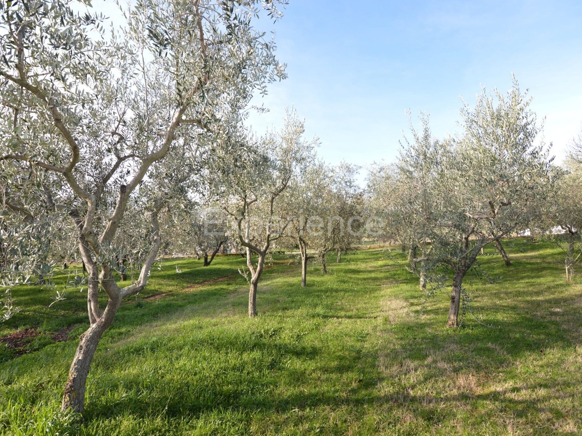 Land For sale - ISTARSKA KAŠTELIR