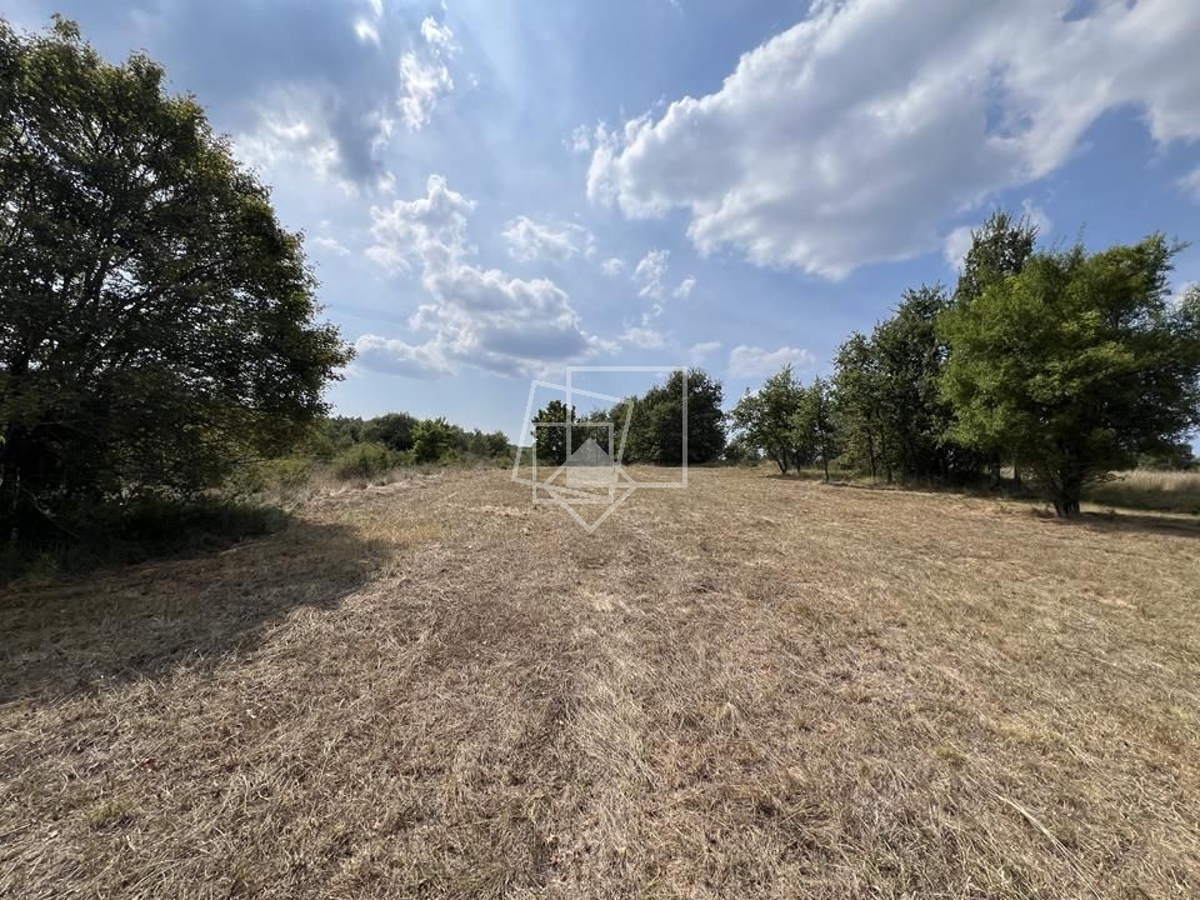 Terreno In vendita - ISTARSKA GROŽNJAN