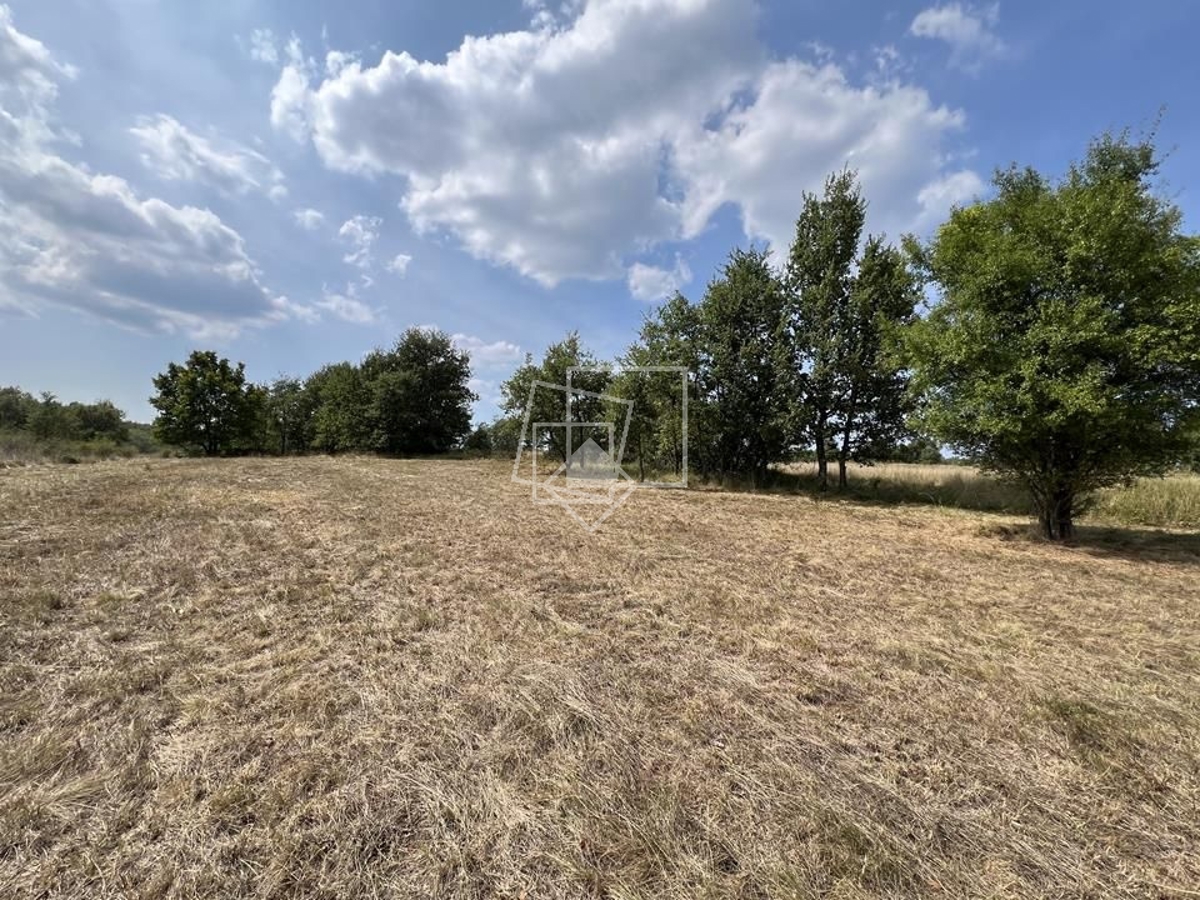 Terreno In vendita - ISTARSKA GROŽNJAN