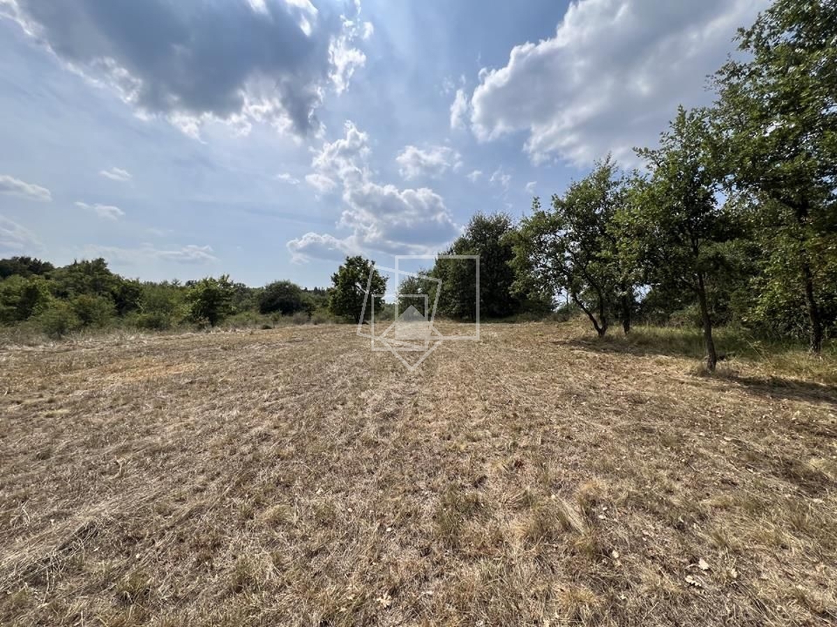 Terreno In vendita - ISTARSKA GROŽNJAN