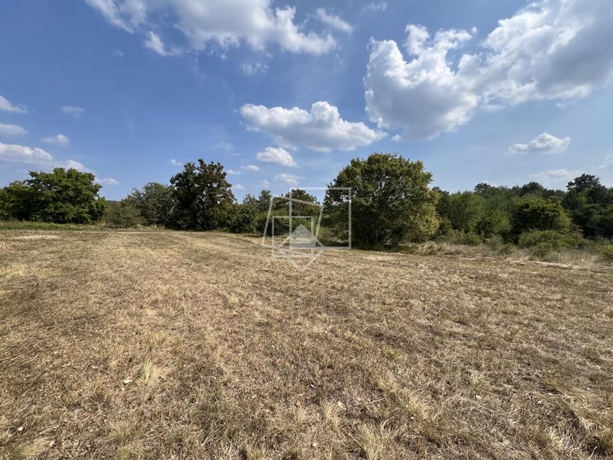 Terreno In vendita - ISTARSKA GROŽNJAN