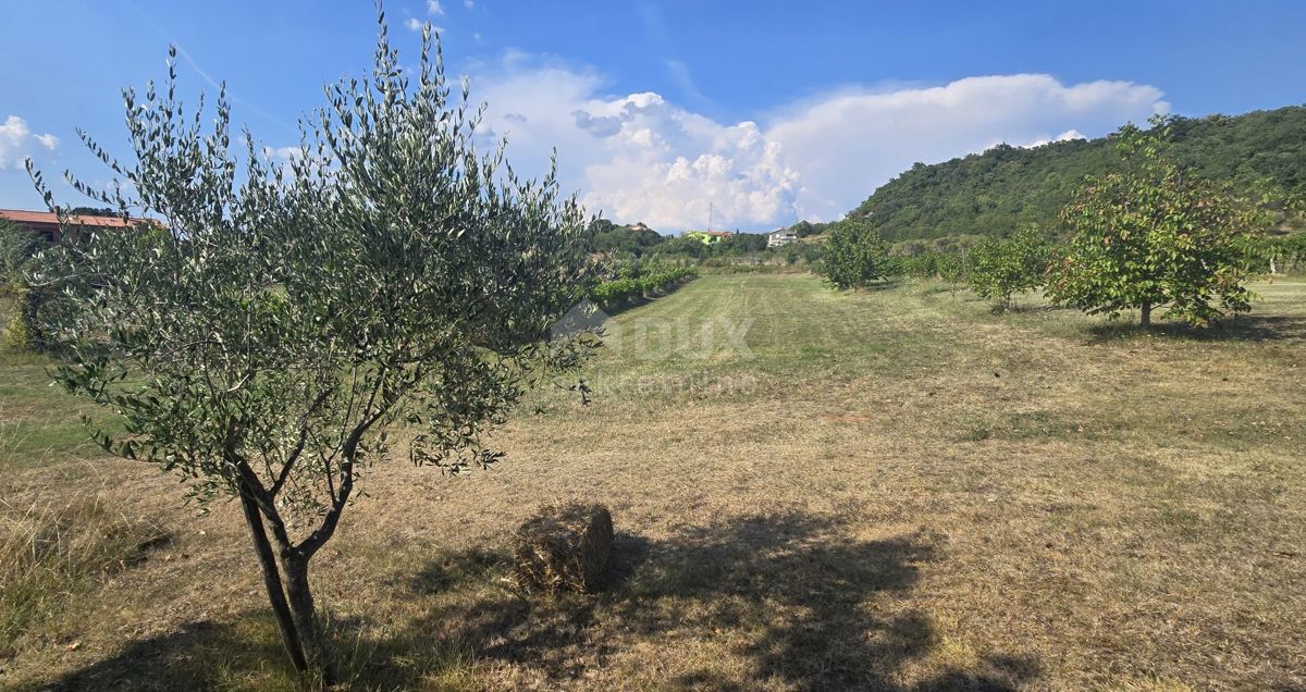 Apartment Zu verkaufen - ISTARSKA LABIN