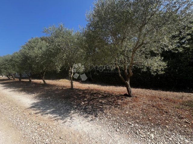 Pozemok na predaj 500 m² – Barban