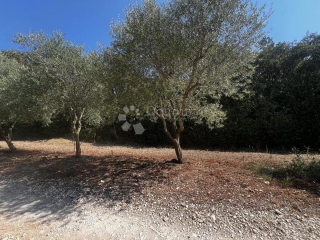 Land For sale - Istarska Barban - foto 2/2