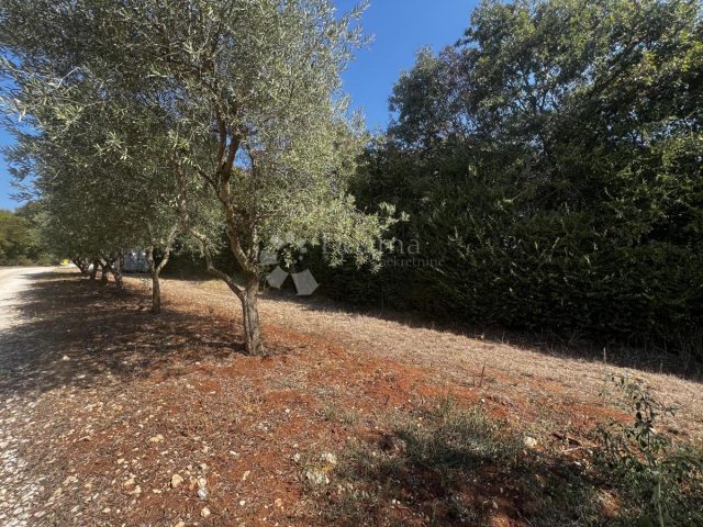 Parcela Naprodaj - Istarska Barban - foto 3/3