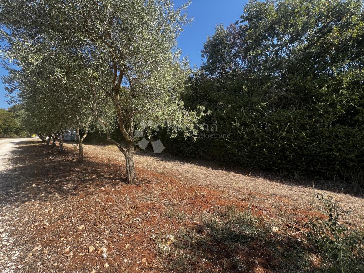 Parcela Naprodaj - ISTARSKA Barban