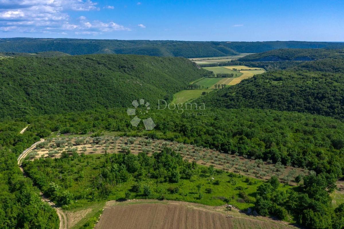 House For sale - ISTARSKA BUJE