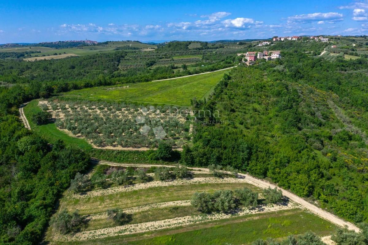 House For sale - ISTARSKA BUJE