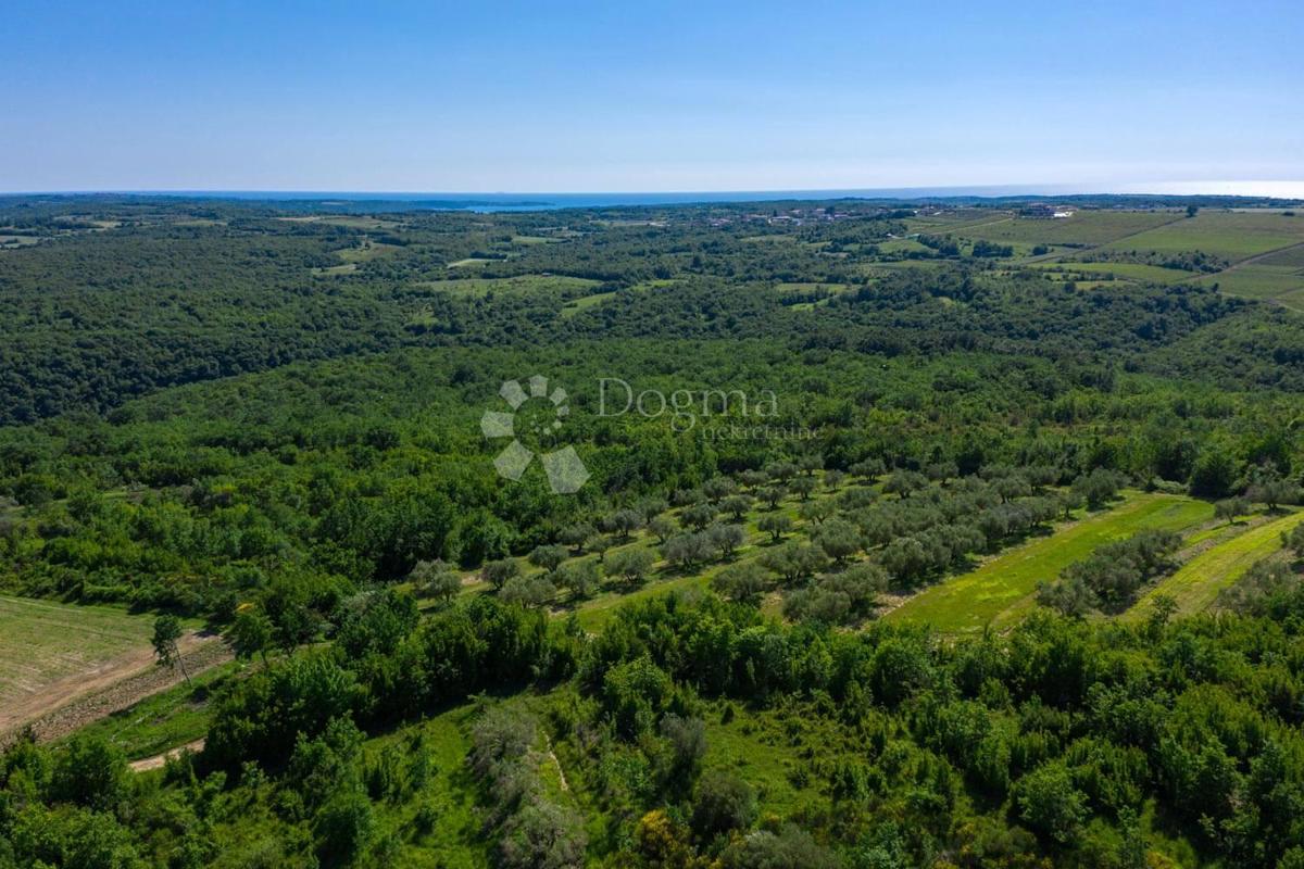 House For sale - ISTARSKA BUJE
