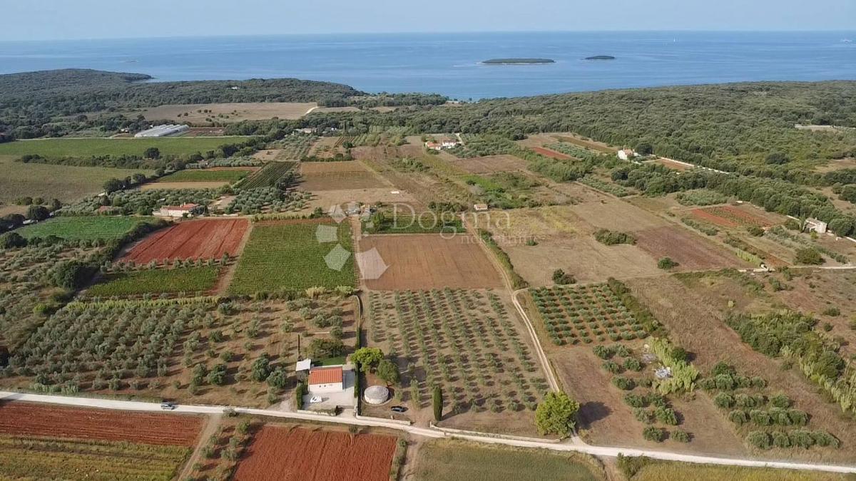 Land For sale - ISTARSKA ROVINJ