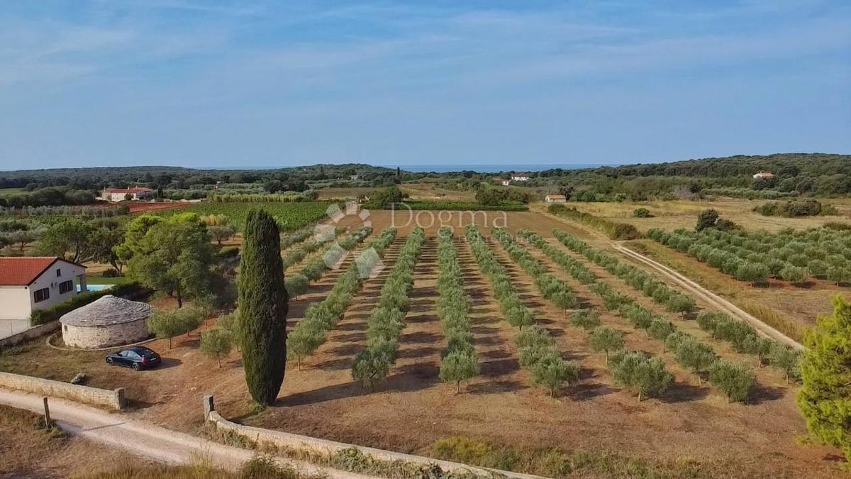 Land For sale - ISTARSKA ROVINJ