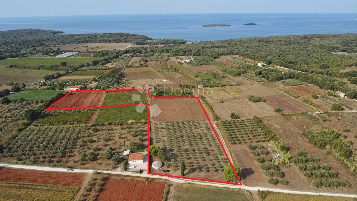 Land For sale - ISTARSKA ROVINJ