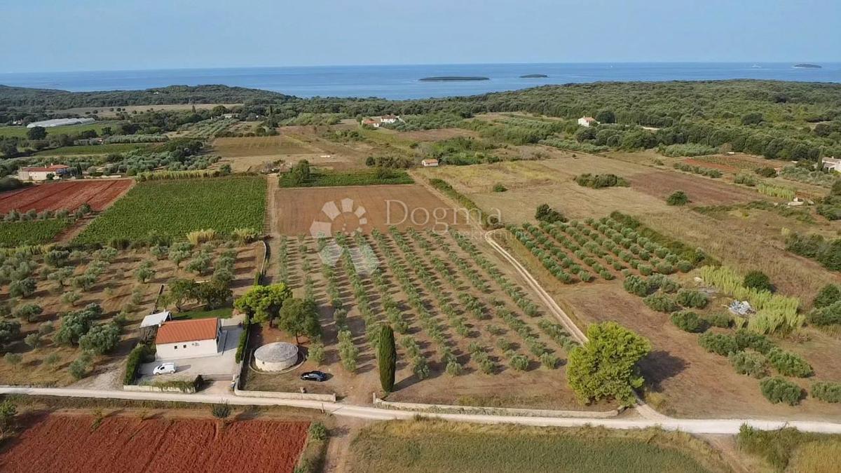 Land For sale - ISTARSKA ROVINJ