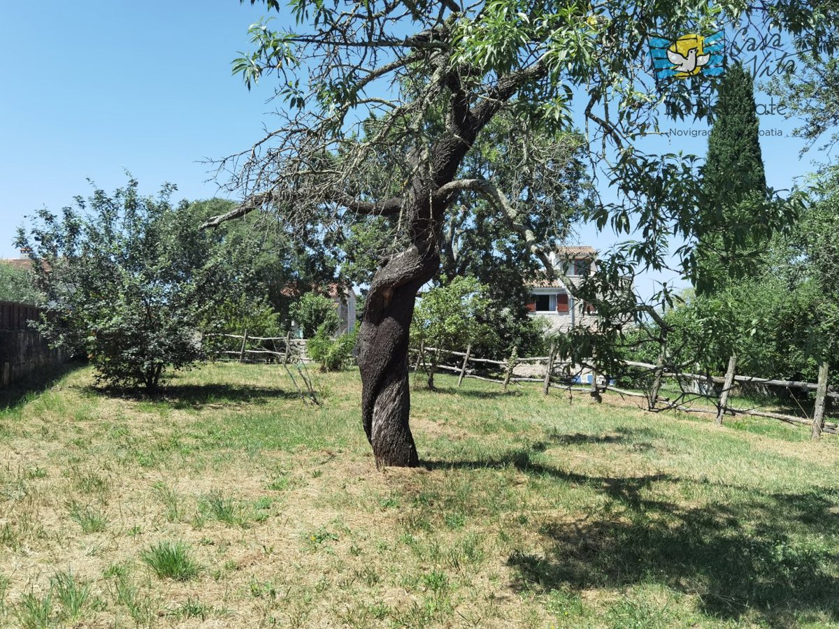 Hiša Naprodaj - ISTARSKA Poreč
