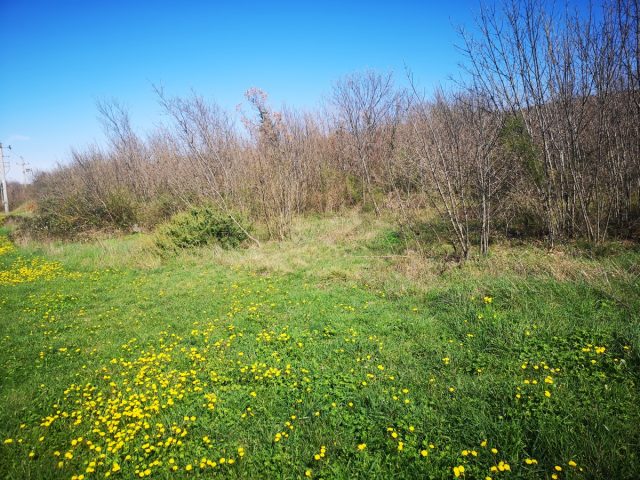 Pozemek na prodej 1478 m² – Raša