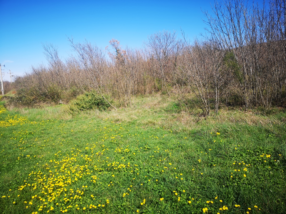 Land For sale - ISTARSKA RAŠA