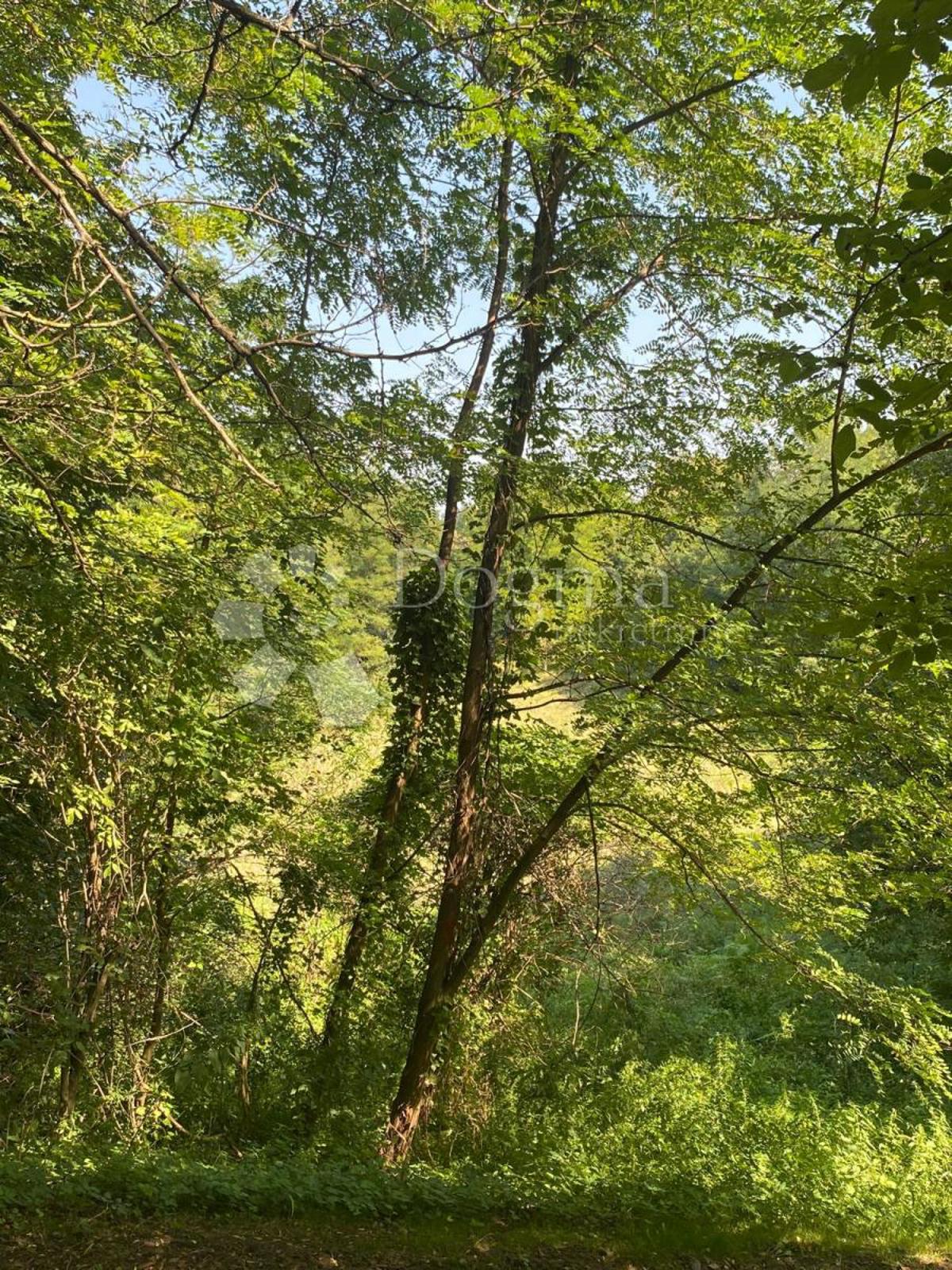 Terreno In vendita - VARAŽDINSKA CESTICA