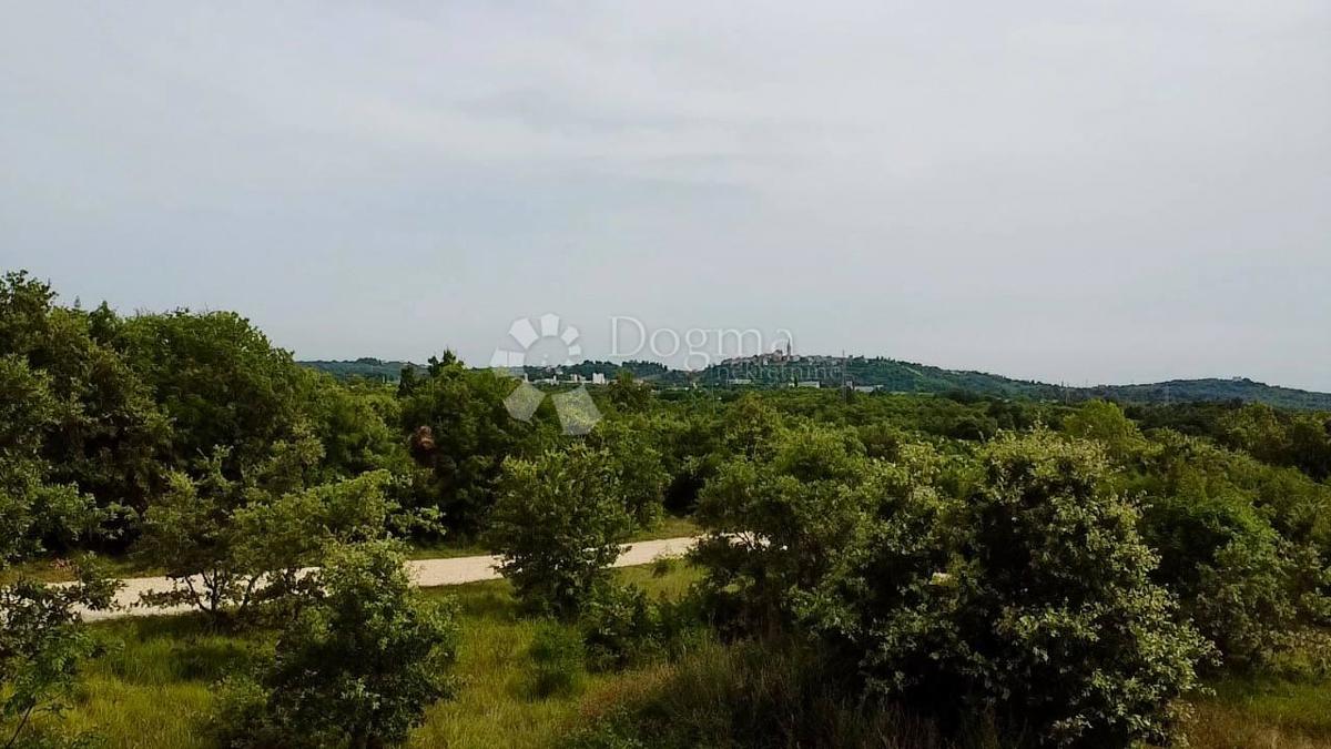 Land For sale - ISTARSKA BUJE