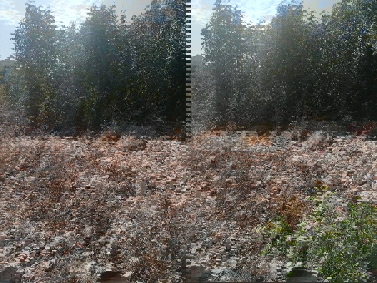 Grundstück Zu verkaufen