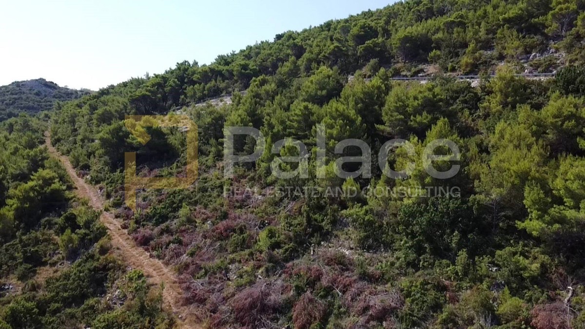 Land For sale - ZADARSKA POSEDARJE