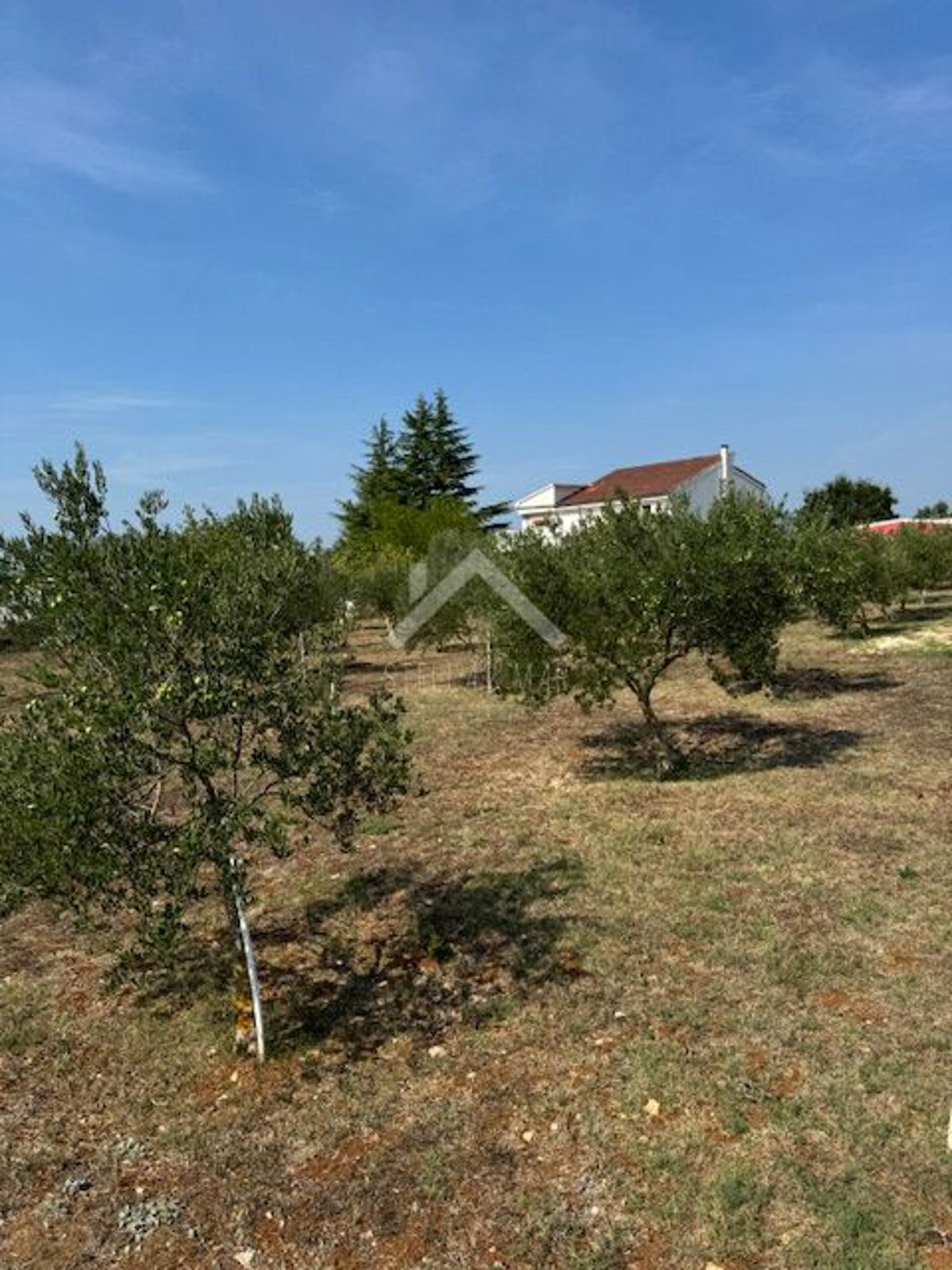 Land For sale MURVICA