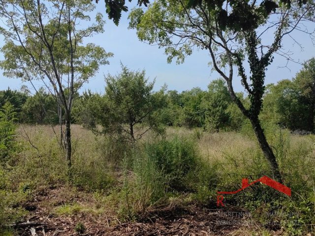 Terreno In vendita - Istarska Marčana - foto 2/4