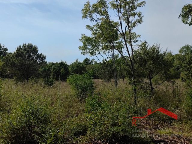 Terreno In vendita - Istarska Marčana - foto 3/4