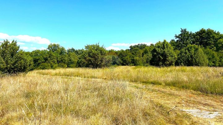 Terreno In vendita - Istarska Novigrad - foto 4/4