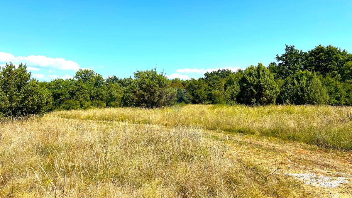 Land For sale - ISTARSKA NOVIGRAD