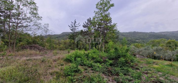 Parcela Naprodaj - Istarska Gračišće - foto 2/28