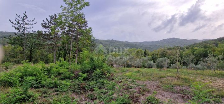 Parcela Naprodaj - Istarska Gračišće - foto 3/28